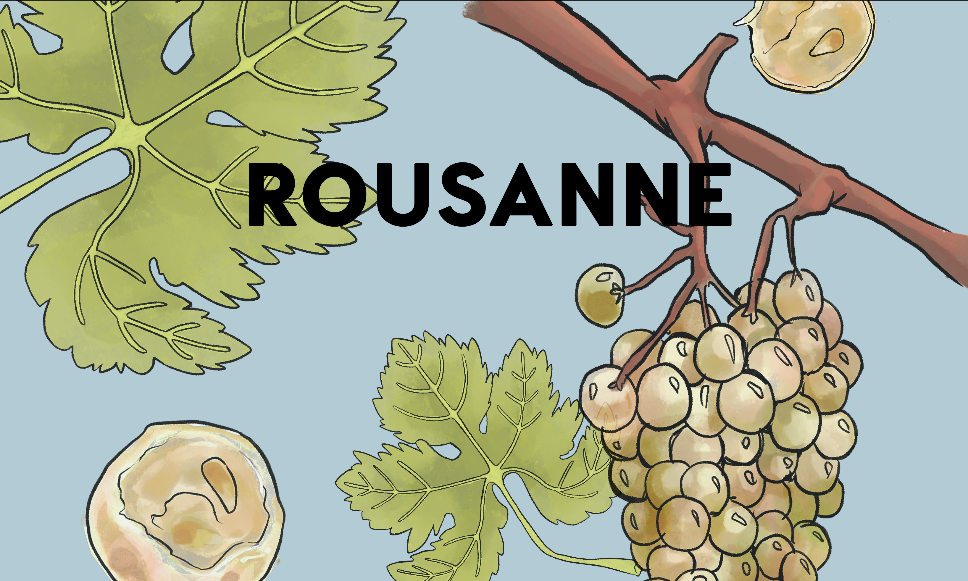 Wine Grapes: Rousanne