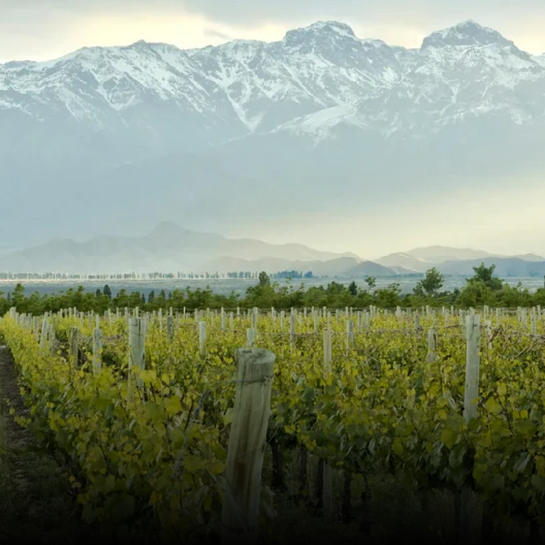 CHILE