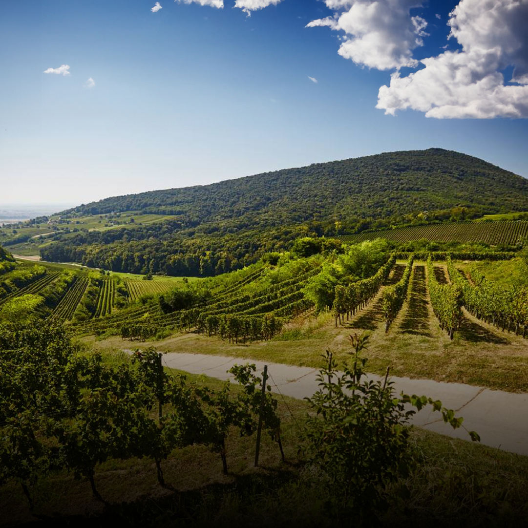 HUNGARY
