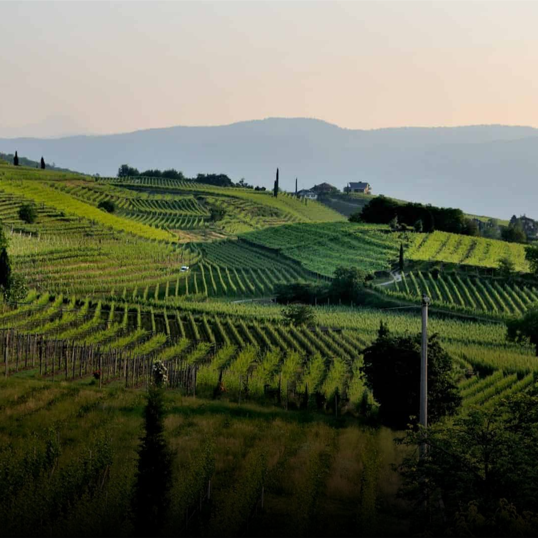 ITALY