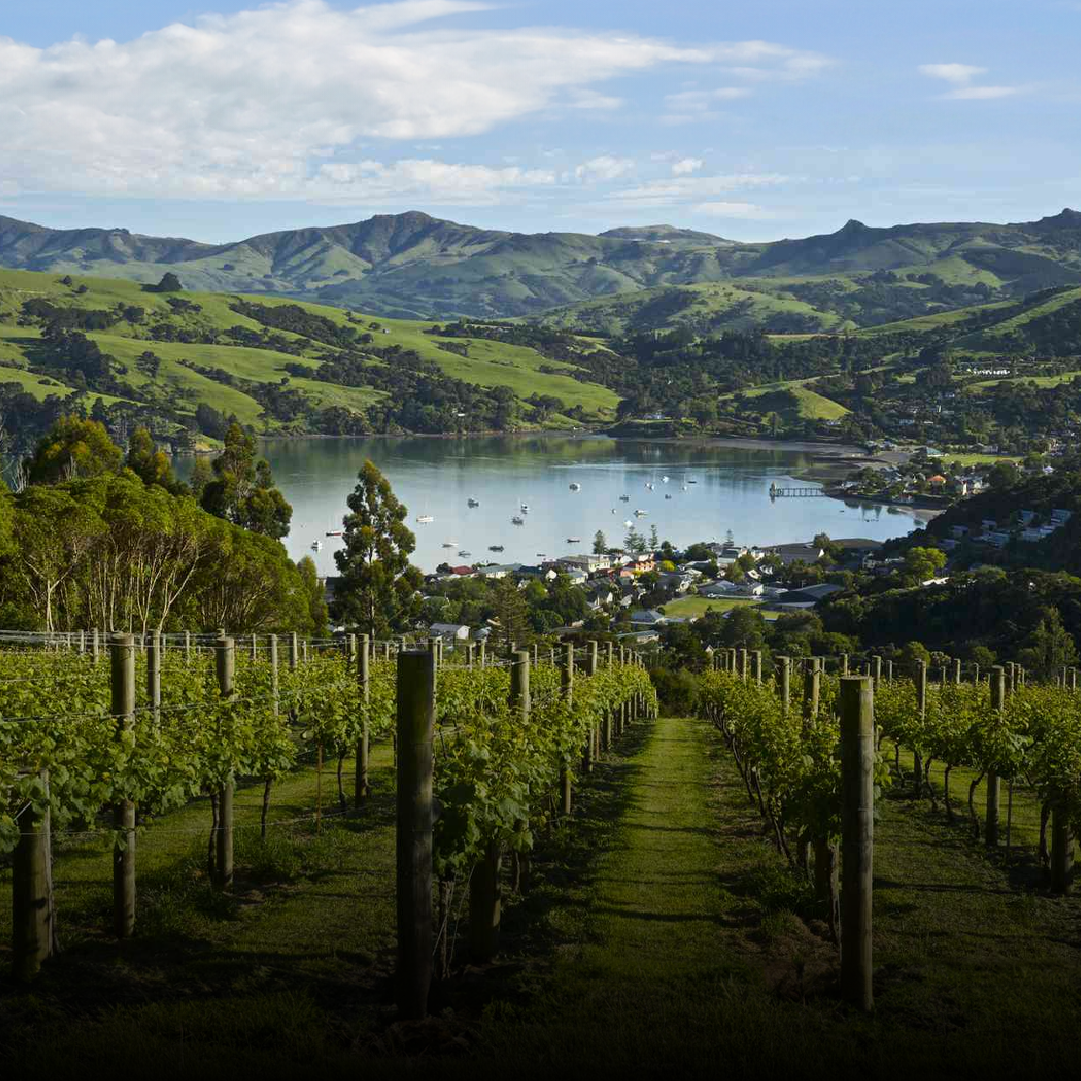 NEW ZEALAND