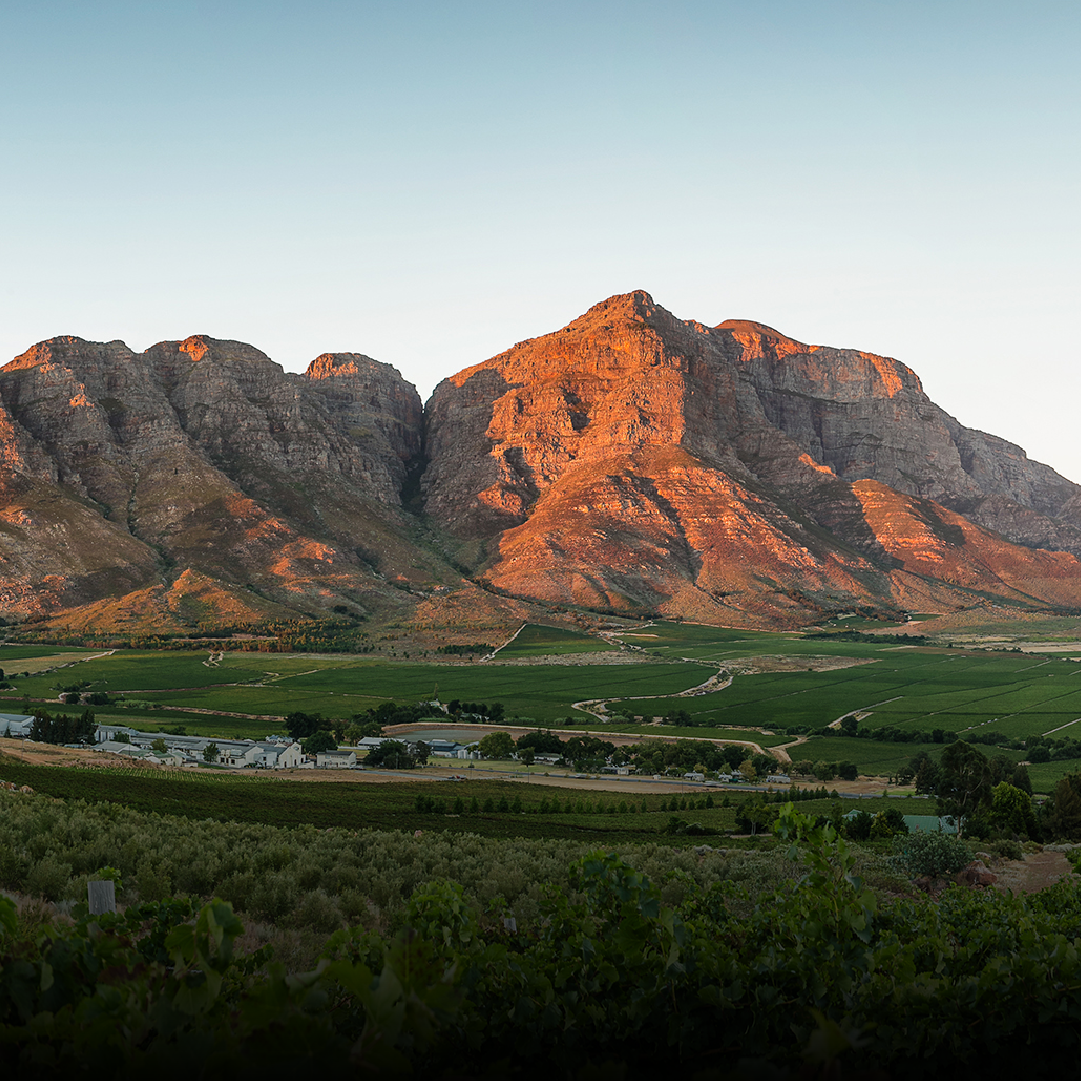 SOUTH AFRICA