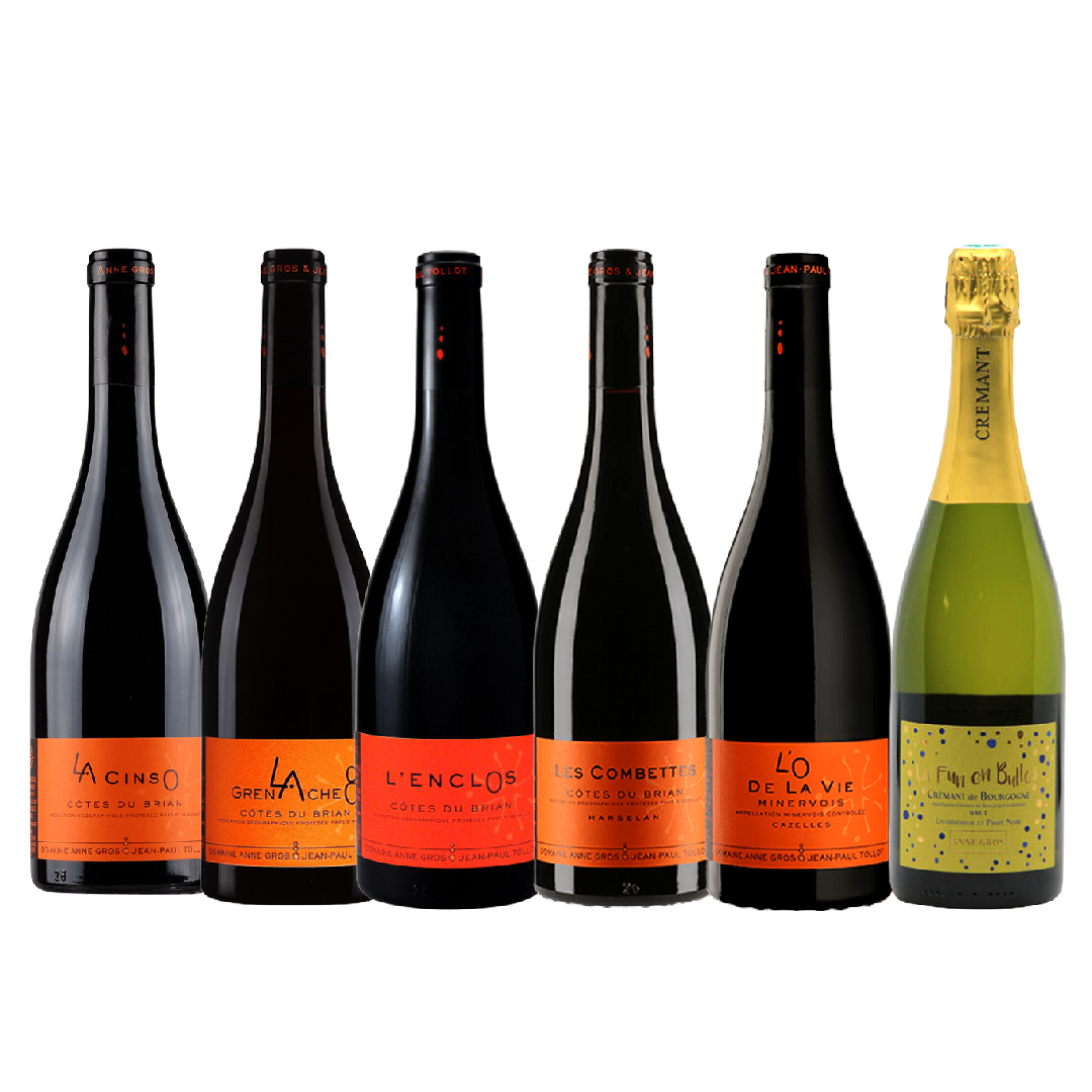 Anne Gros & Jean-Paul Tollot Single Varietal 6-bt Mix Case