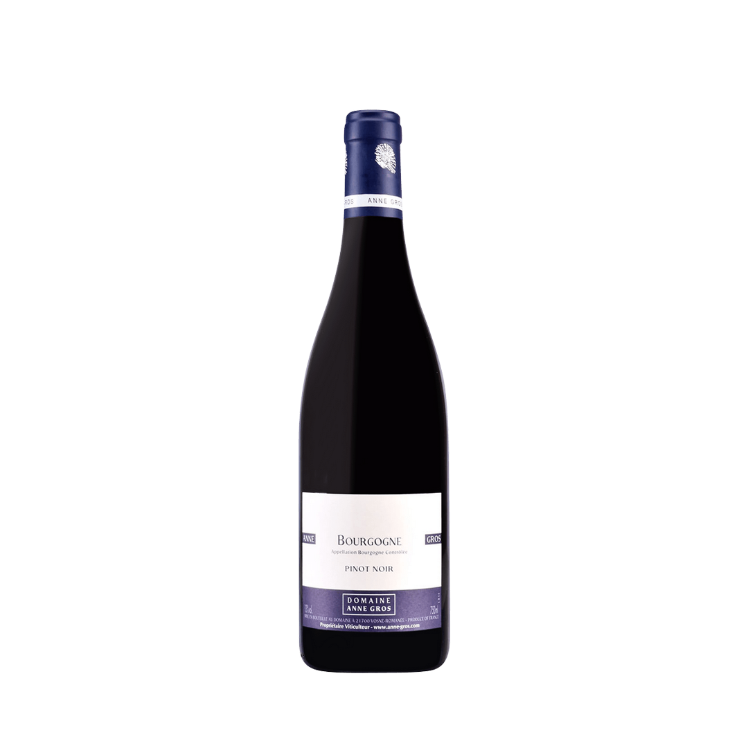 Anne Gros Bourgogne Pinot Noir 2022