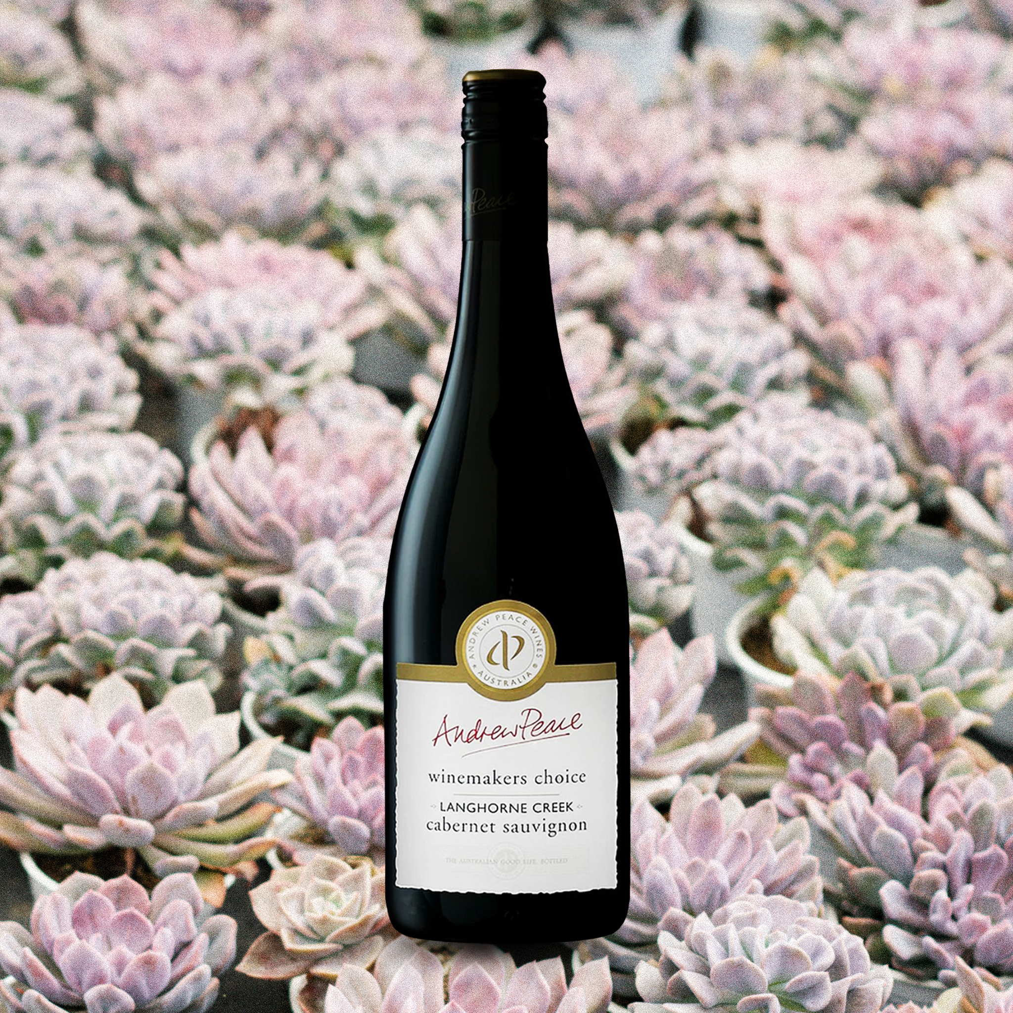 Andrew Peace, Winemaker's Choice Langhorne Creek Cab Sauv 2018