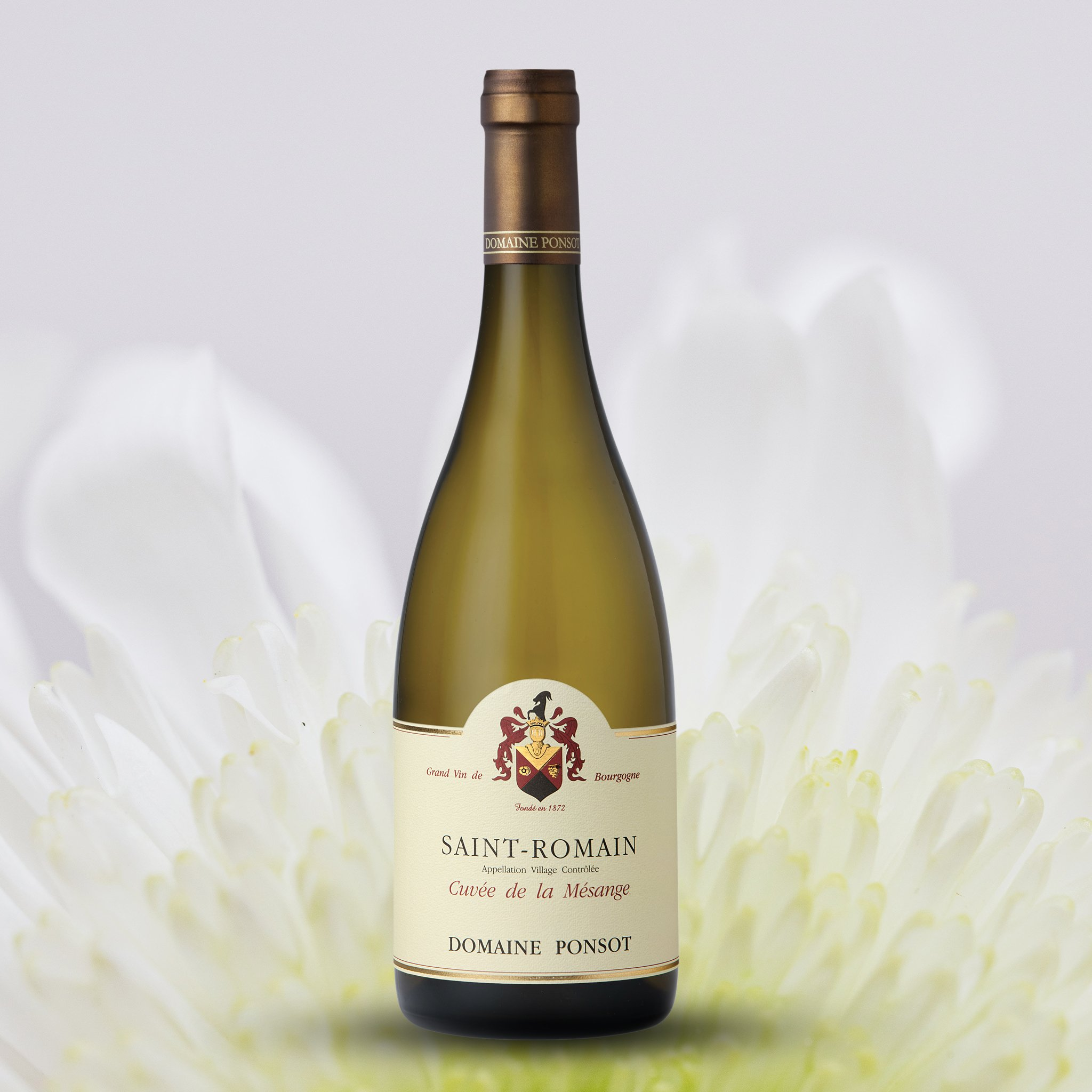 Domaine Ponsot Saint Romain Blanc Cuvee de la Mesange 2020