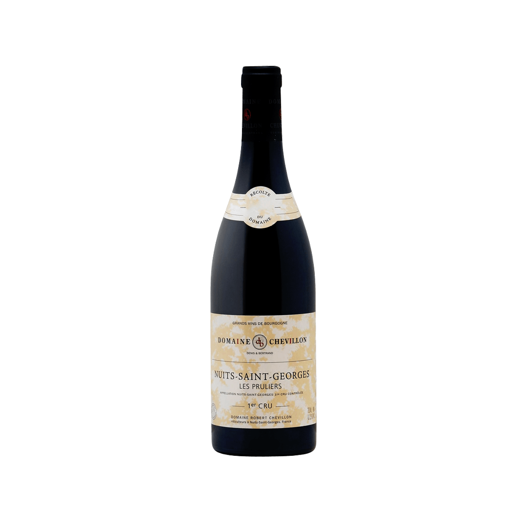 R Chevillon NSG Les Pruliers 1er 2013