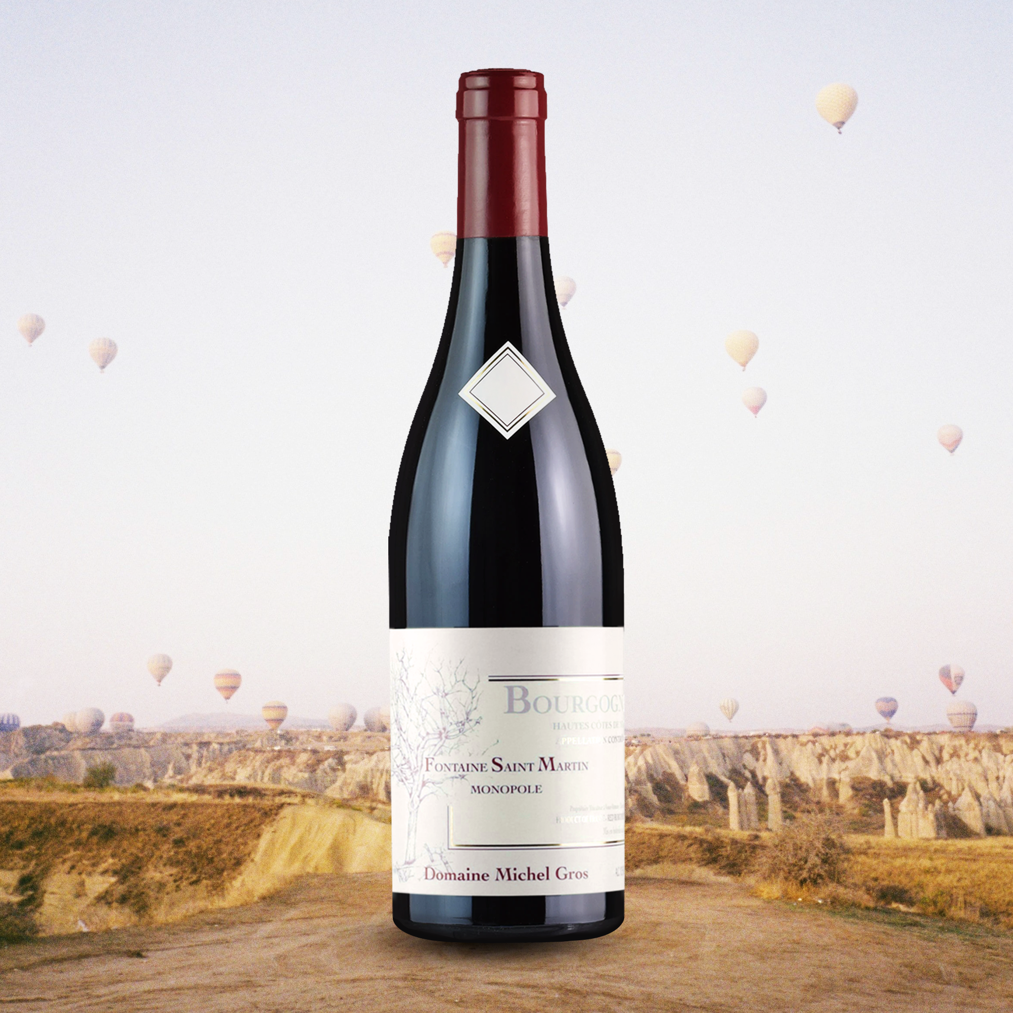 Michel Gros Hautes Nuits Fontaine Martin 2018