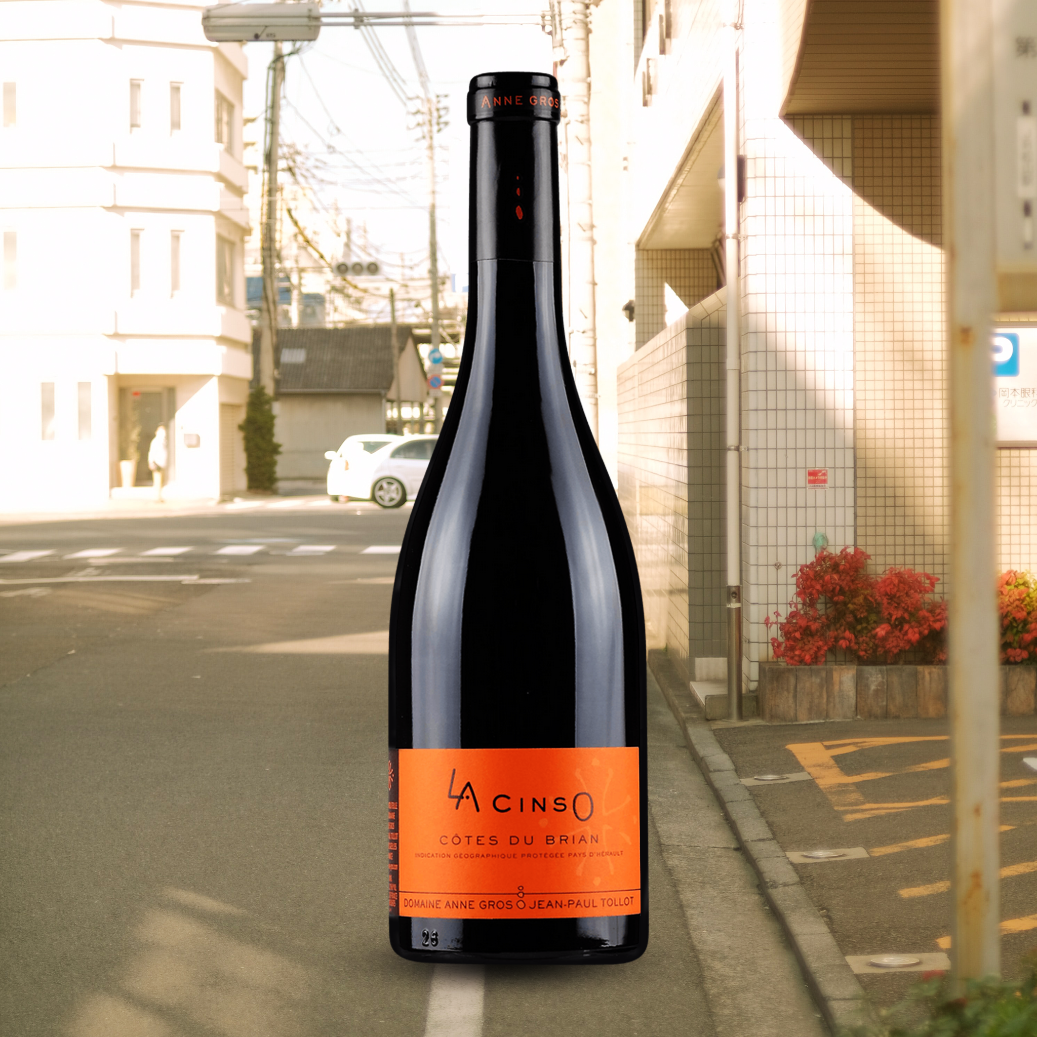 Anne Gros & Jean-Paul Tollot La CinsO 2022