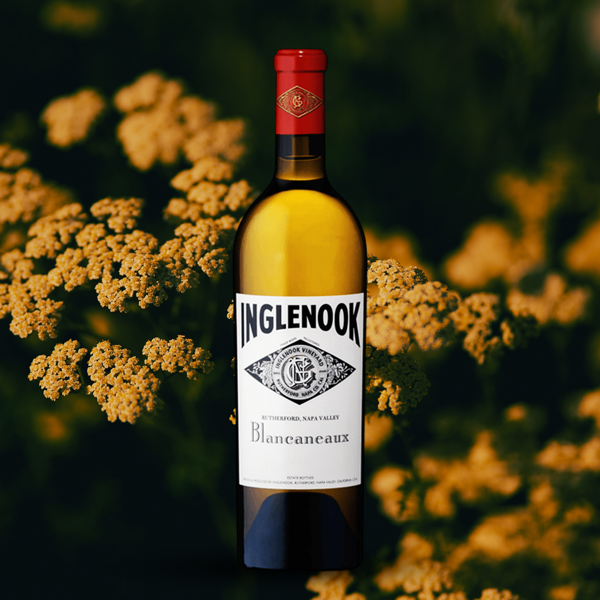 Inglenook, Blancaneaux 2019
