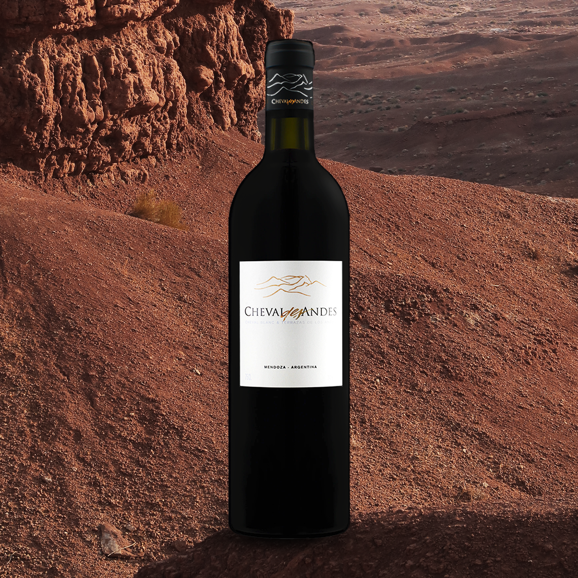 yourwinefix Cheval des Andes 2018