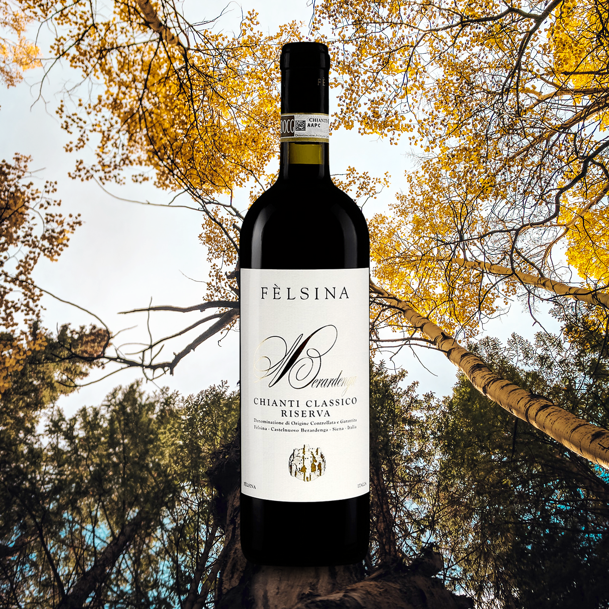 yourwinefix Fèlsina, Berardenga Chianti Classico Riserva 2018