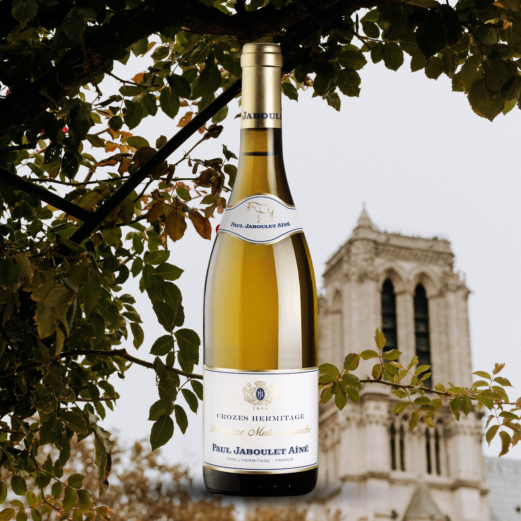 yourwinefix Paul Jaboulet Aîné, Crozes Hermitage Domaine Mule Blanche